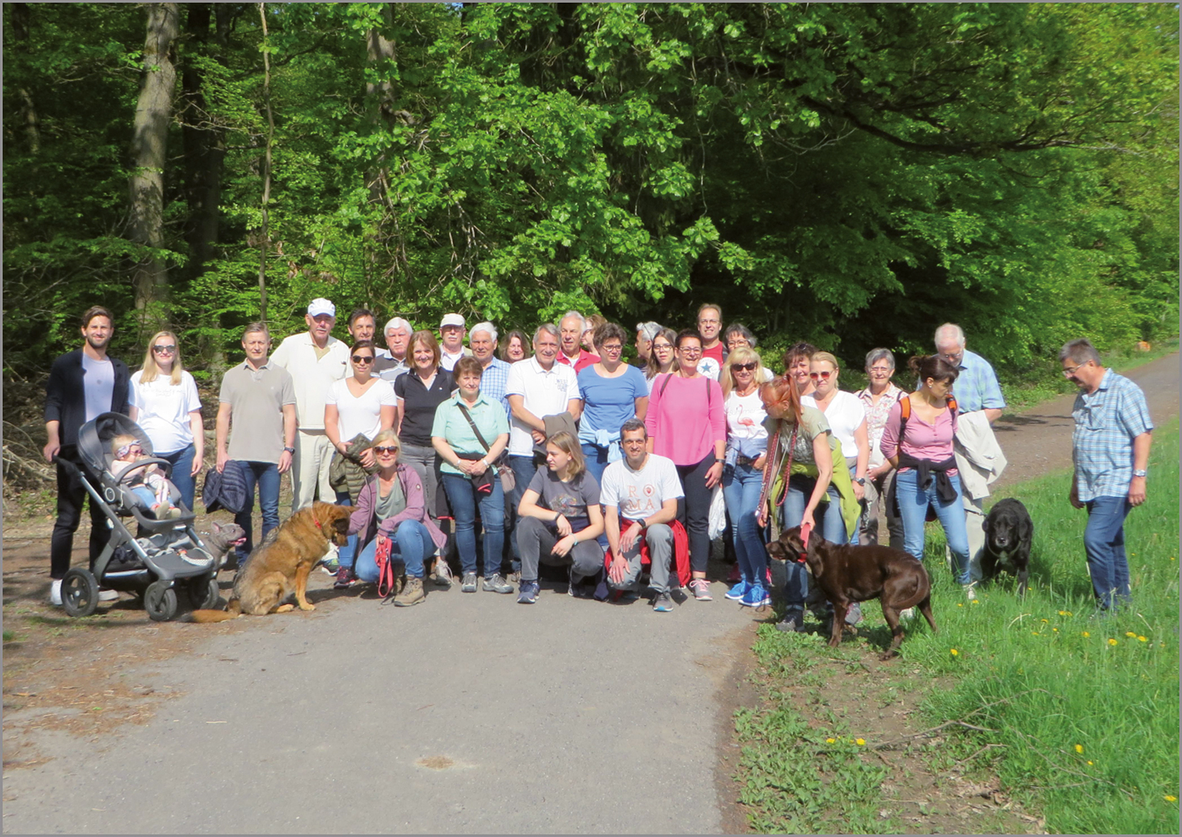 Maiwanderung 2019 Image