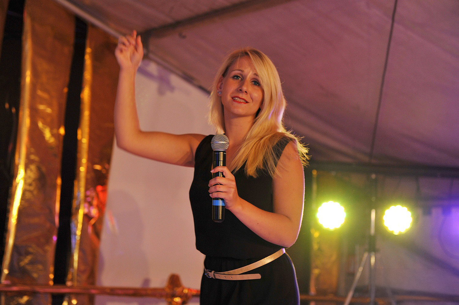 Playbackshow 2015 Image