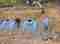 Bau der Klärgrube 2024 Image